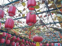 -后海16号·北京私房菜