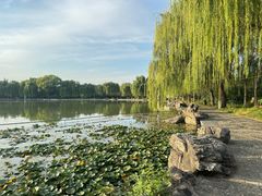 -洛阳市隋唐城遗址植物园