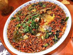 杨记招牌鱼-杨记隆府(时代天街店)