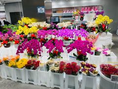 -盒马X会员店(王府井奥莱UP TOWN店)