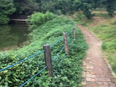 -南国桃园旅游度假区