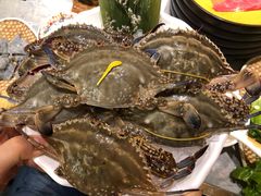 -一绪に寿喜烧(荟聚店)