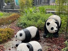 -四川大学(华西校区)