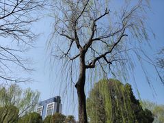 -桐乡植物园