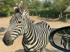 -北京野生动物园