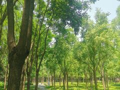 -东郊湿地公园