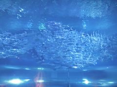 -海合安武汉极地海洋公园