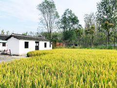 -溱湖国家湿地公园