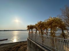 -青龙湖公园