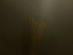 -悠悦MASSAGE&SPA(恒大广场店)