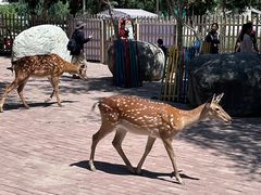 -水上乐园·欢乐世界