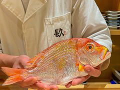 -镹·鱼料理  国产鱼使用店