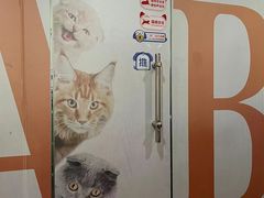 -宠物星动物医院·眼科·异宠·猫科(江南大道总院)