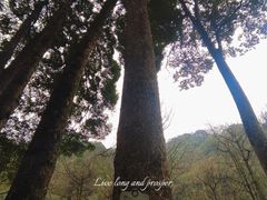 -青城山