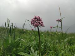-白草畔自然风景区