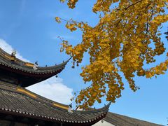 -西园寺素食(西园弄戒幢律寺店)