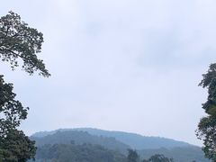 -峨眉山报国寺