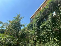 -杭州西湖风景名胜区-满觉陇四眼井