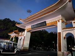 -深圳仙湖植物园