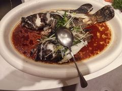 -国惠大酒楼(宝龙店)