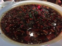 -猫头婴小酒馆FUN OWL(1912店)