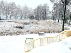 -东湖生态旅游风景区