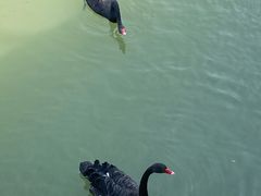 -昆山城市生态森林公园