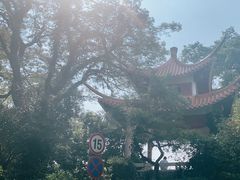-深圳仙湖植物园