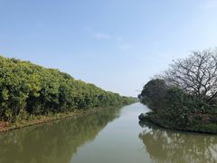 -大湾区中央湿地公园