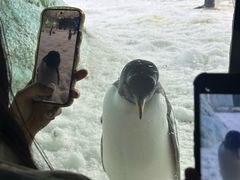 -珠海长隆海洋王国