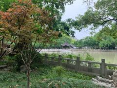 -汇龙潭
