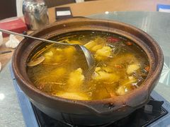 -永記粤菜·五指毛桃花雕鸡煲(九亭店)