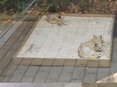 -宁波野生动物园