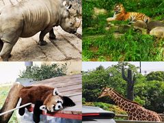 -杭州野生动物世界