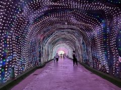 -栾川竹海野生动物园