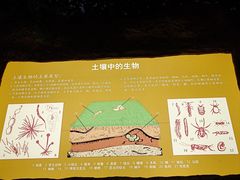 -中国农业博物馆