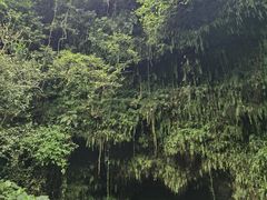-海口火山口国家地质公园