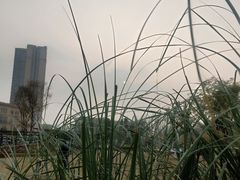 -府河摄影公园