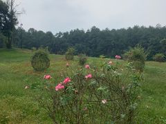 -保利石象湖景区