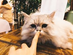 -小时光咖啡馆(北锣鼓巷店)