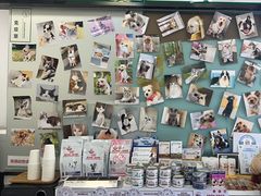 -爱妮康宠物医院·干细胞免疫细胞·肿瘤·心脏(张江店)