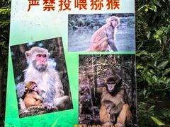 -黔灵山公园