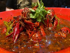 -红辣椒·川菜·火锅(张杨路店)