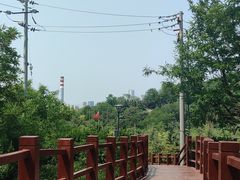 -麦当劳(青岛大学店)