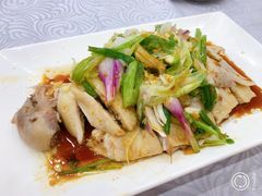 招牌葱油鸡-粤·向群饭店(龙津东路总店)