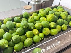 -introlemons(北京西单更新场店)