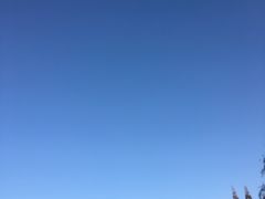 -瀛洲公园
