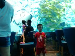 -瑞德姆美人鱼海底演艺主题餐厅(亚龙湾店)