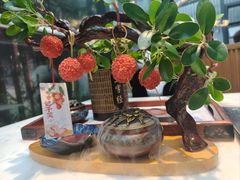 -唐猫庭院·千年陕菜(大唐不夜城店)