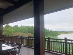 -东滩湿地公园观海楼餐厅
